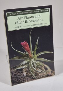 Air Plants and other Bromeliads