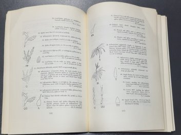 Bromeliacaea of Ecuador