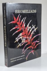 Bromeliads - 