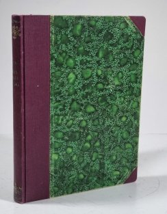 Sňatek Tomáše Burjána