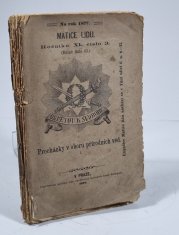 Matice lidu 3/1877 - Procházky v oboru přírodních věd I. - 