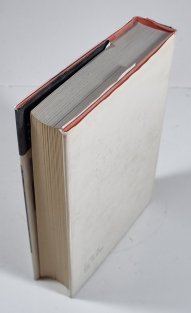 Dobrodružný Simplicius Simplicissimus