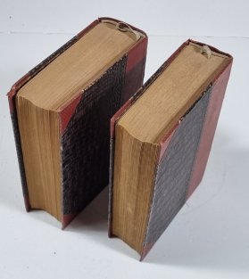 Důmyslný rytíř Don Quijote de la Mancha I.+II. díl