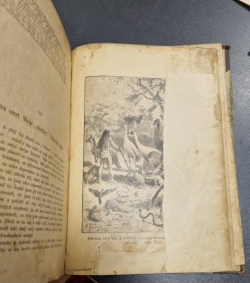 Neuvěřitelná dobrodružství