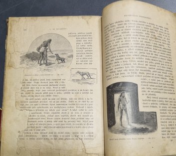 Neuvěřitelná dobrodružství