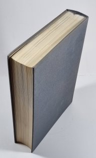 Gotika - Dejiny slovenského výtvarného umenia (slovensky)