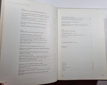 Gotika - Dejiny slovenského výtvarného umenia (slovensky)