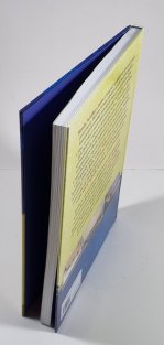 Hrady a tvrze západních Čech (V rekonstrukcích a retrokresbách)