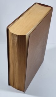 Ilustrovaná encyklopedie českých hradů