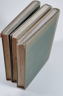 Zápas s nebem I. - III. (Smrtonoš, Podobni bohům, Metla nebes)