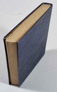 Jezdec ze Zlatého Prutu