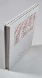 Netopýři létají za šera