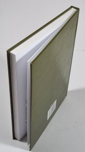 Případ půvabné žebračky