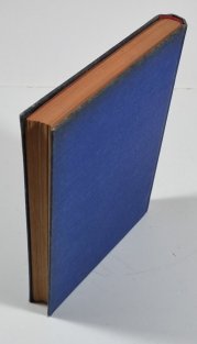 Křídla nad oceánem