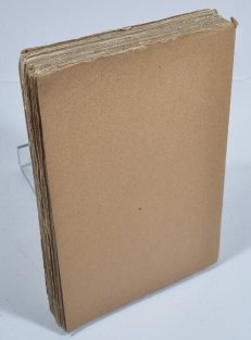 Postavy a problémy českého baroku literárního