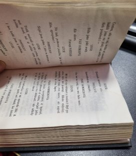 Fragmenty a improvisace z mládí / Dramata prosou z mládí / Utrpení mladého Werthera