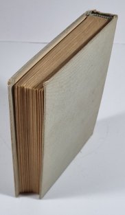 Bratři ztracených úst