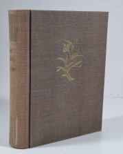 Levoboček z Mauléonu I.+III. - 