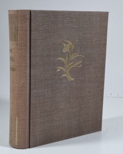 Levoboček z Mauléonu I.+III.