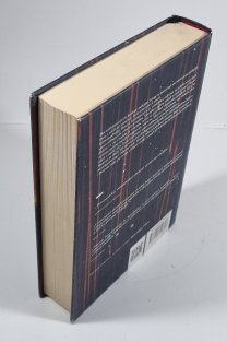 Pomsta - Maeve Kerrigan 2