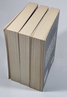 Převtělení 1-3 - Myrrenin dar / Krev a vzpomínky / Most duší