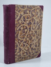 Stopař   - Kožená punčocha 3