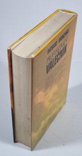 Profesionální válečník