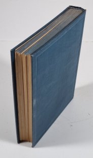 V tajných službách