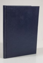 Několik kapitolek z dějin naší poezie - 