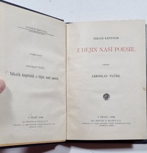 Několik kapitolek z dějin naší poezie