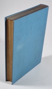 Král Jiří z Poděbrad - Ve lví stopě