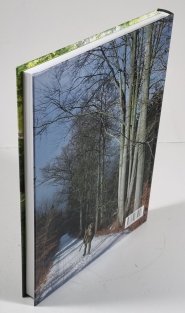 Poslední romantik - Marko Čermák