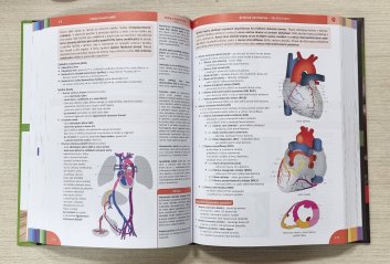 Memorix anatomie ( 5. vydání )