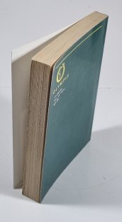 Vinnetouovi dědicové