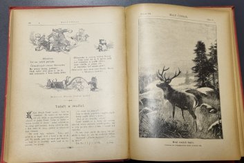 Malý čtenář 13/1893-94