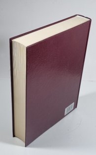 Čeští bohatýři - postavy z minulosti