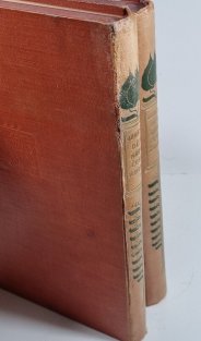 Obrázkové dějiny národu československého I.+II.