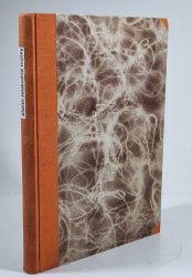 Zločin svobodné matky - román tiché trpitelky