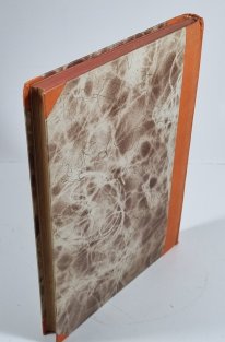 Zločin svobodné matky