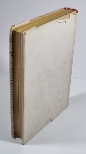 Dobrodružství Hucka Finna