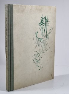 Rodáci z olivové zátoky