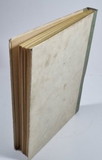 Rodáci z olivové zátoky