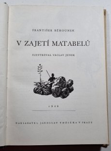 V zajetí Matabelů