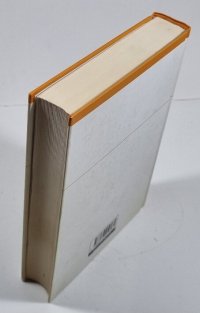 Slovník nespisovné češtiny