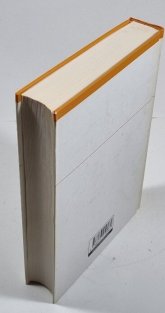 Slovník nespisovné češtiny