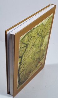 Historické toulky Šumperskem