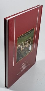 Hrady a tvrze na Mladoboleslavsku