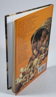 Houbařem po celý rok