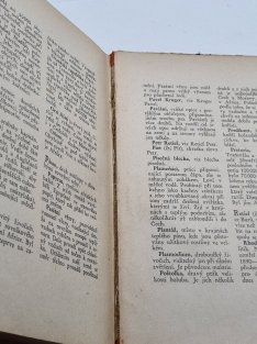 V zemi slonů a lvů