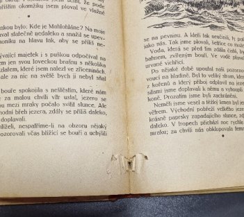 V zemi slonů a lvů